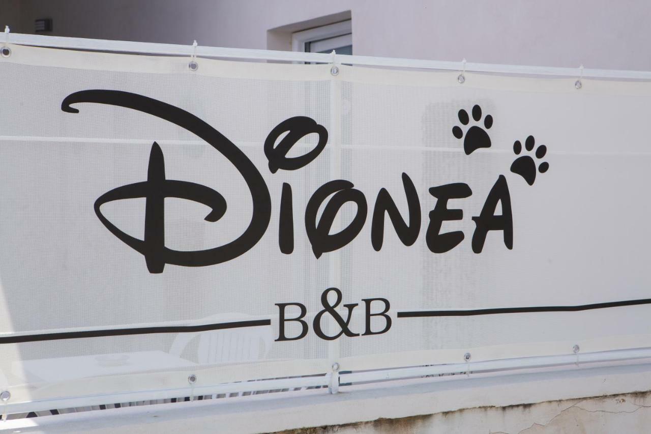 B&B Dionea Santa Maria di Castellabate Exterior photo
